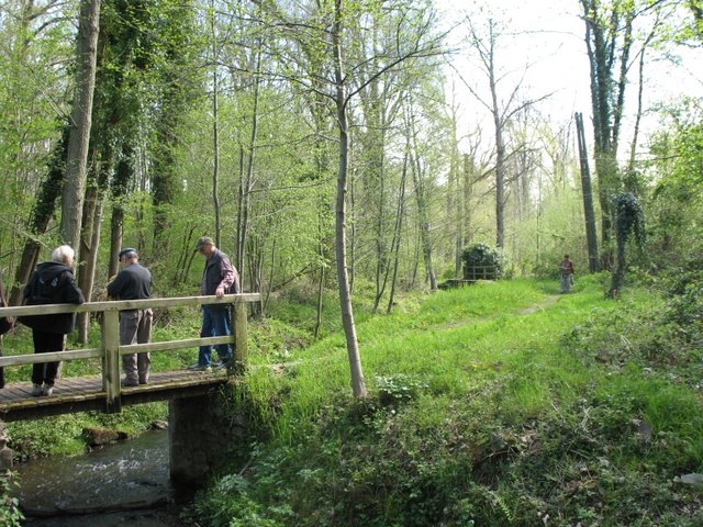 2008 04  Bota et Myco 17